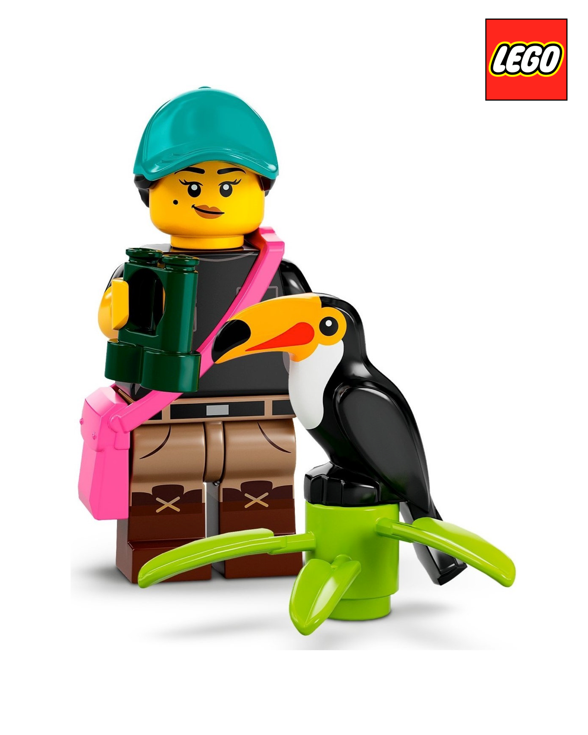 Birdwatcher - Series 22  | LEGO Minifigure | NEW CMF