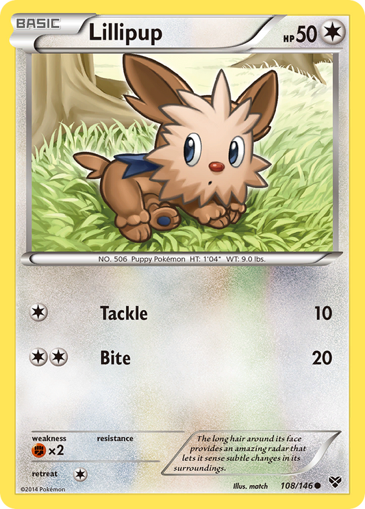 Lillipup 108/146 Common | XY | Pokemon Card