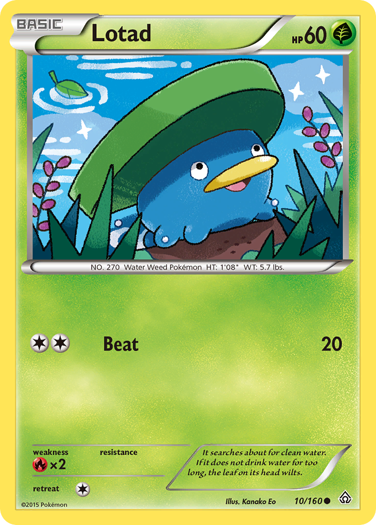 Lotad 10/160 Common | Primal Clash | Pokemon Card