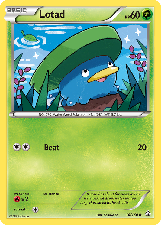 Lotad 10/160 Common | Primal Clash | Pokemon Card