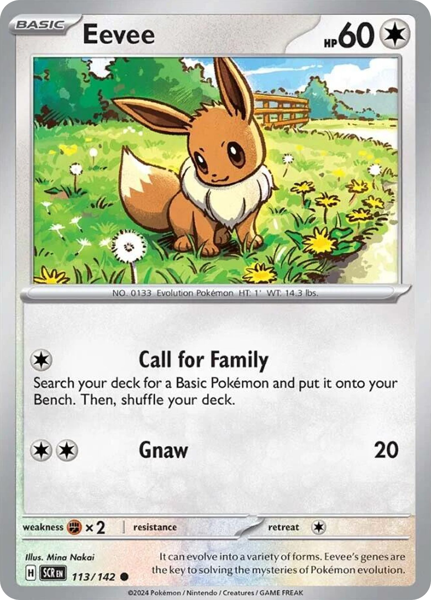 Eevee 113/142 Common | Stellar Crown | Pokemon Card