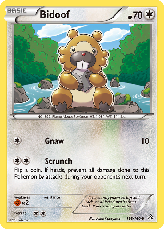 Bidoof 116/160 Common | Primal Clash | Pokemon Card