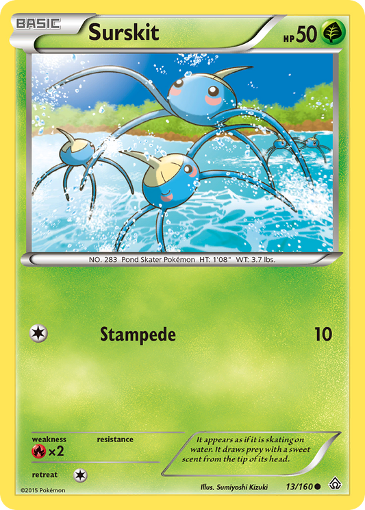 Surskit 13/160 Common | Primal Clash | Pokemon Card