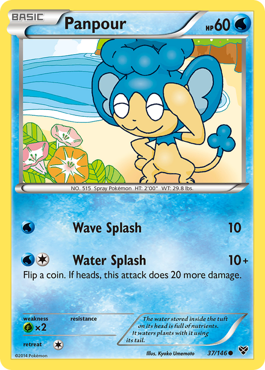 Panpour 37/146 Common | XY | Pokemon Card