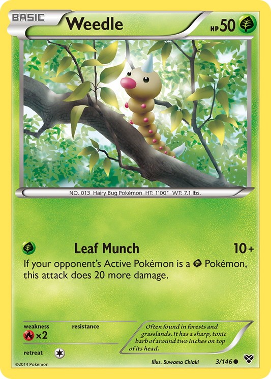 Weedle 3/146 Common | XY | Pokemon Card