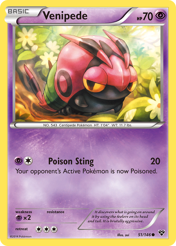 Venipede 51/146 Common | XY | Pokemon Card