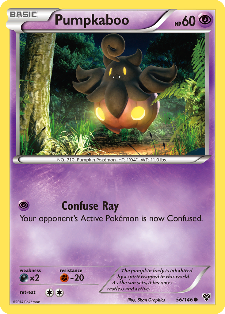 Pumpkaboo 56/146 Common | XY | Pokemon Card