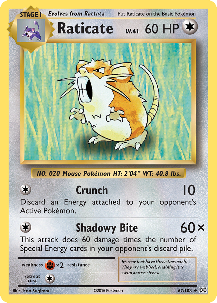 Raticate 67/108 Rare | Evolutions | Pokemon Card