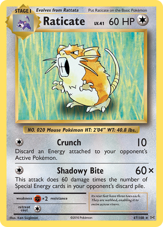 Raticate 67/108 Rare | Evolutions | Pokemon Card