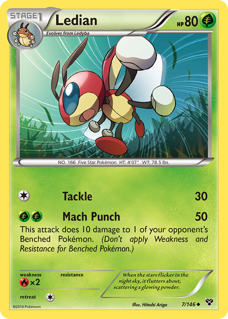 Ledian 7/146 Uncommon | XY | Pokemon Card