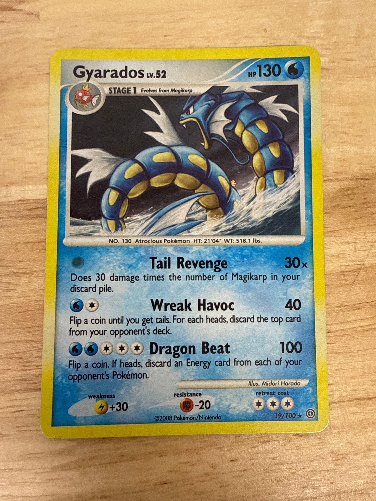 Gyarados 19/100 Rare Holo | Stormfront | Pokemon Card