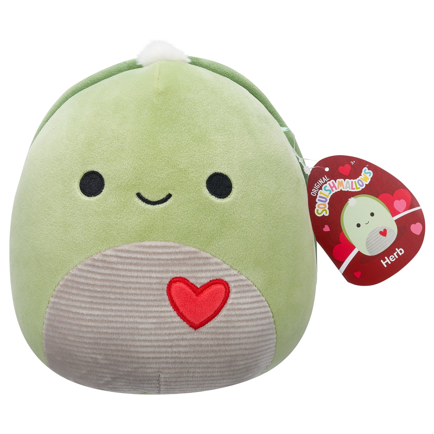 Herb the Green Sea Turtle Valentine's Day ~ 7.5" Squishmallow Plush