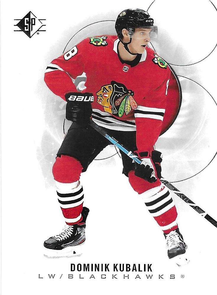 Dominik Kubalik #75 Chicago Blackhawks | 2020-21 SP | NHL Trading Card