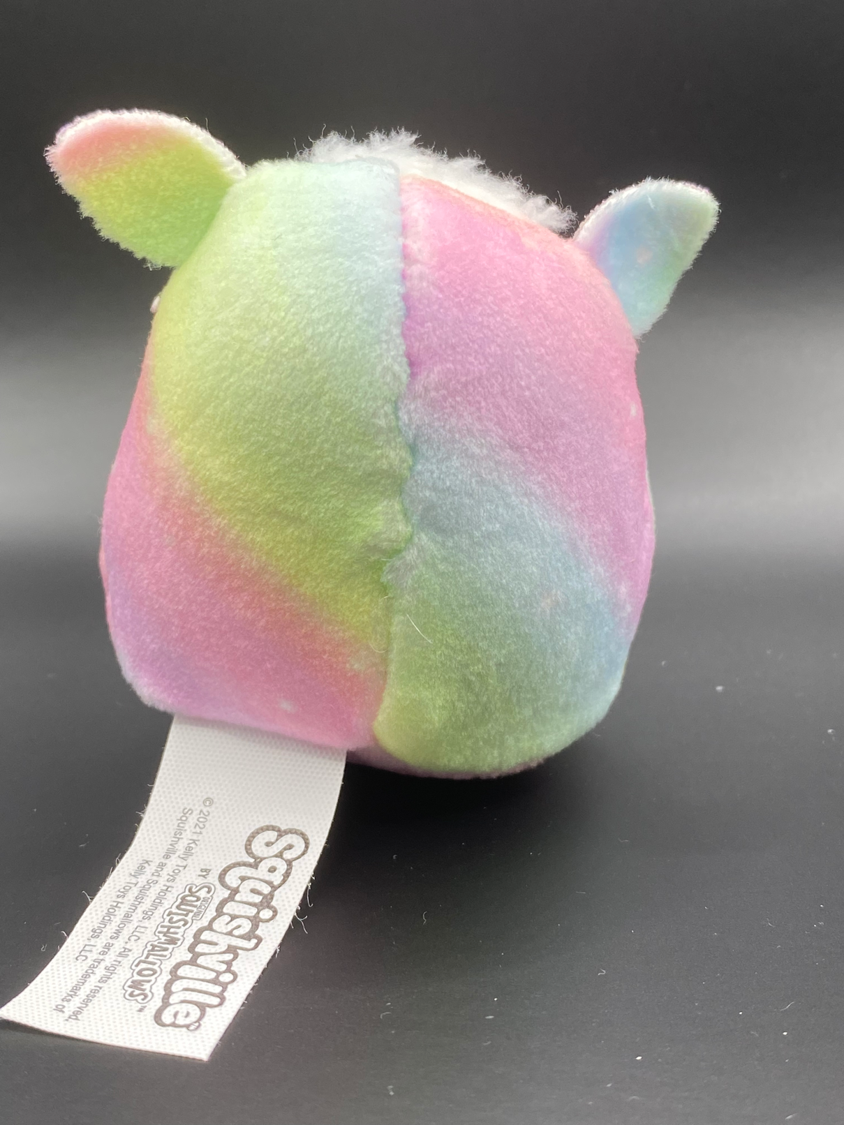 Rainbow Sheep ~ 2