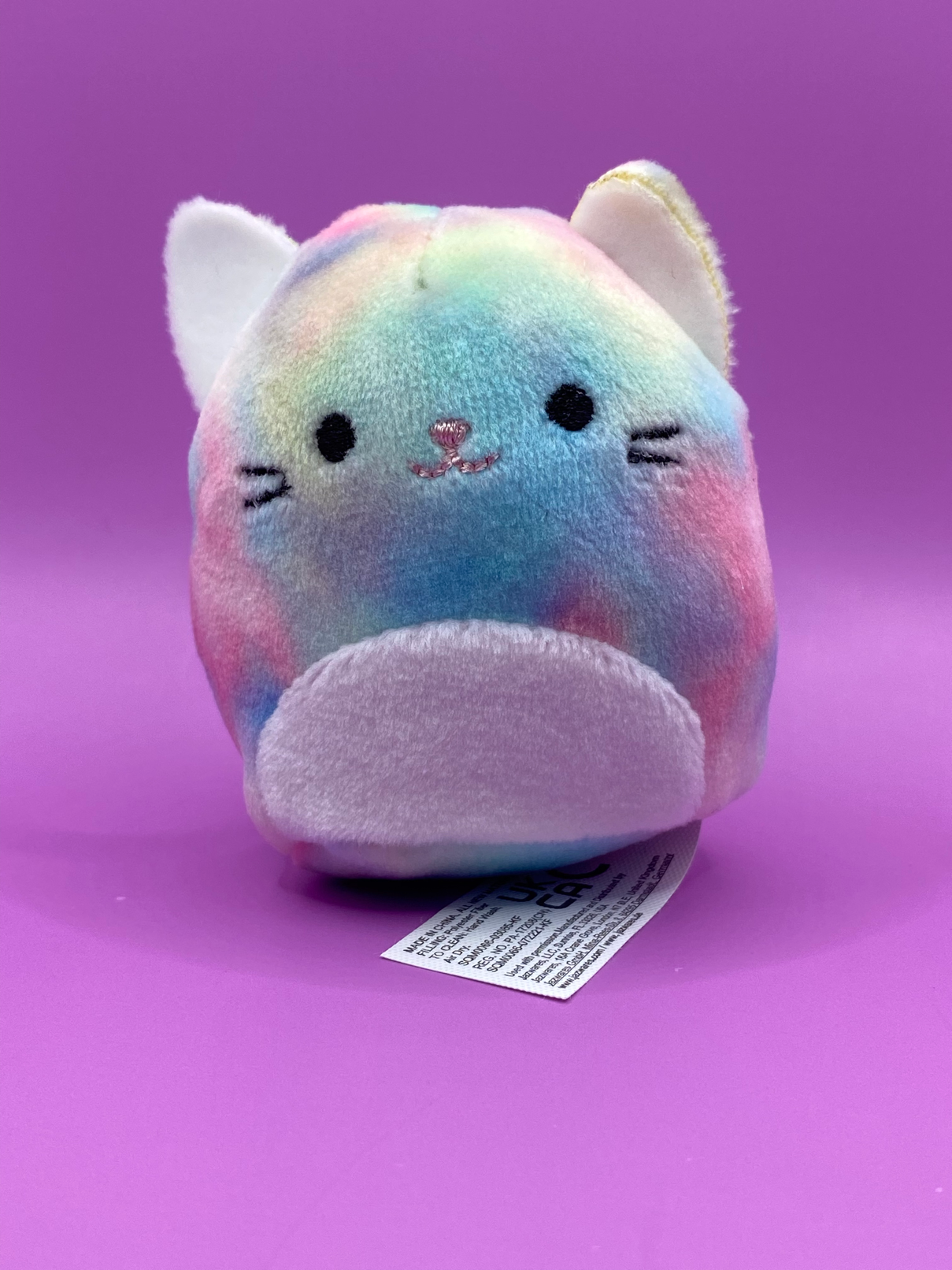 Rainbow Cat ~ 2" Individual Squishville by Squishmallows