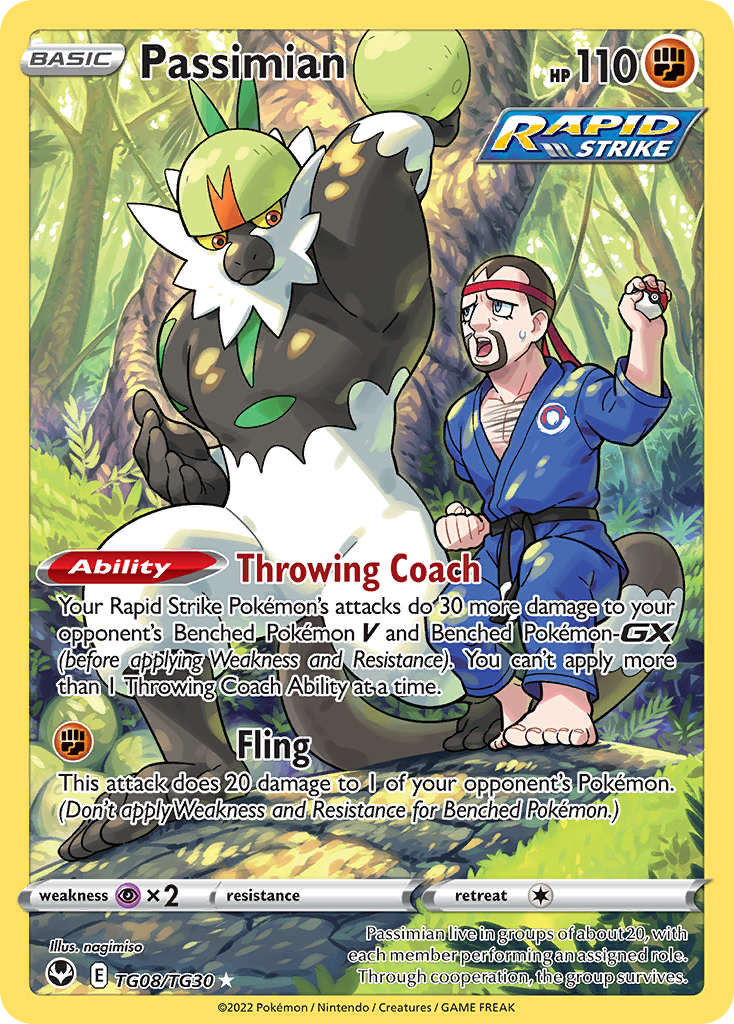 Passimian TG08/30 Trainer Gallery Rare Holo | Silver Tempest Trainer Gallery | Pokemon Card